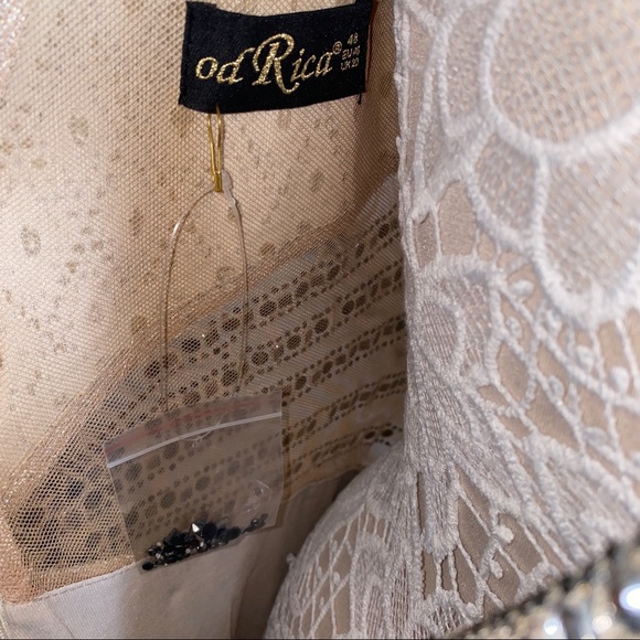 NEW Od Rica Silver Champagne Crystal Sparkling Rhinestone Wedding Evening Dress - Picture 9 of 16